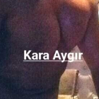 Karaaygır44的化身