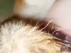 Thumb 8